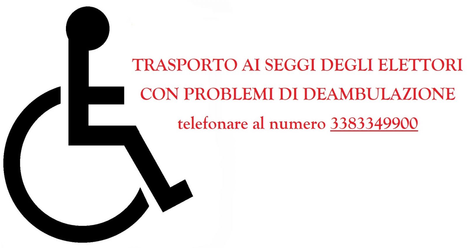 TRASPORTO AI SEGGI DEGLI ELETTORI CON PROBLEMI DI DEAMBULAZIONE