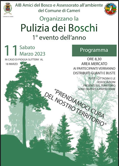 Pulizia dei boschi