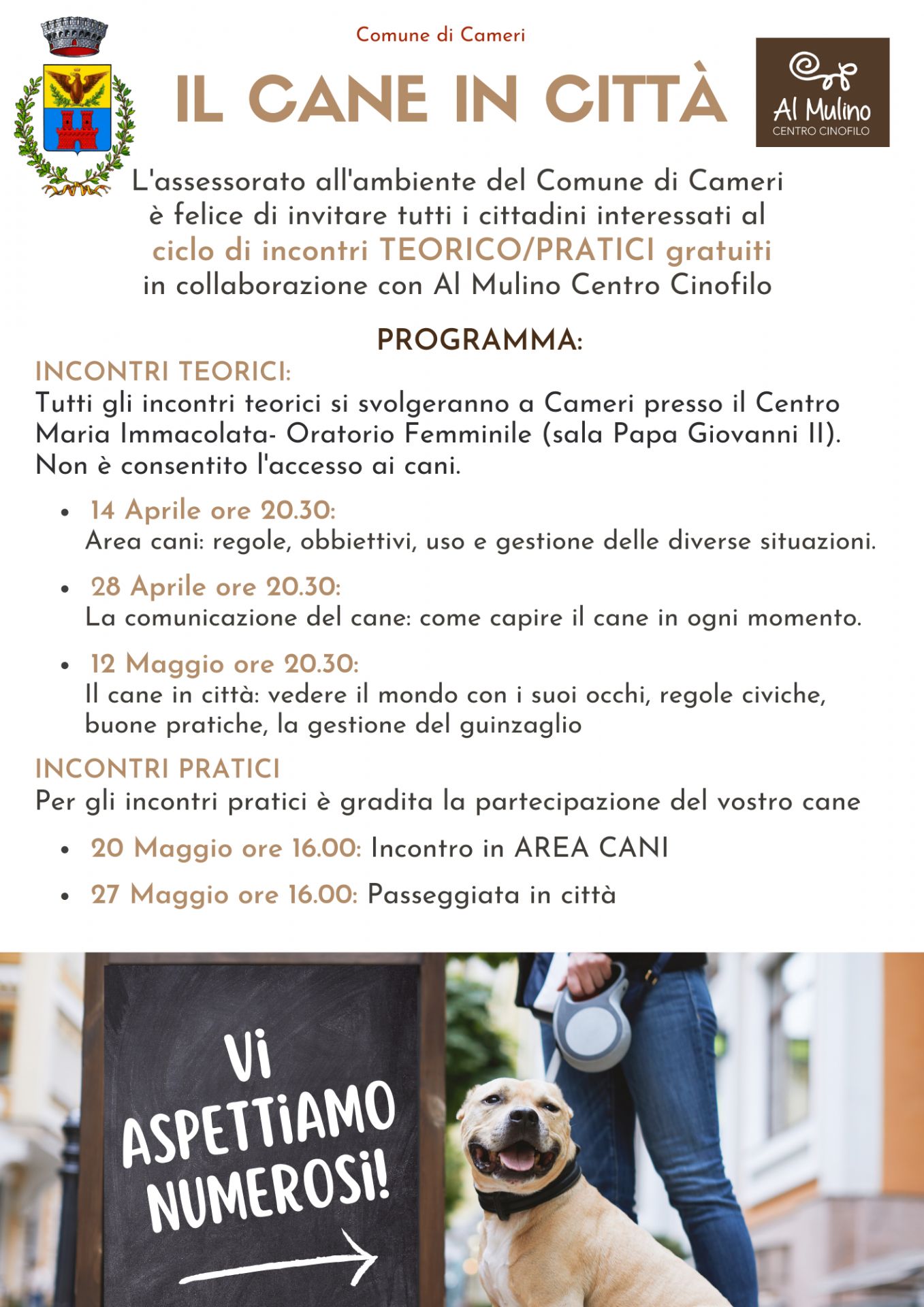 IL CANE IN CITTA'